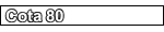 COTA 80